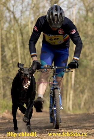 Polsko 2005 - 536.jpg